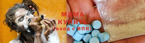 ПСИЛОЦИБИНОВЫЕ ГРИБЫ Гусев