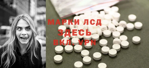 ПСИЛОЦИБИНОВЫЕ ГРИБЫ Гусев