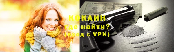 ПСИЛОЦИБИНОВЫЕ ГРИБЫ Гусев