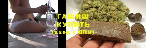 ПСИЛОЦИБИНОВЫЕ ГРИБЫ Гусев