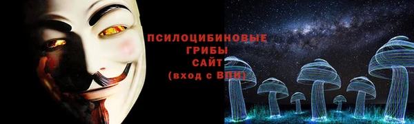 ПСИЛОЦИБИНОВЫЕ ГРИБЫ Гусев