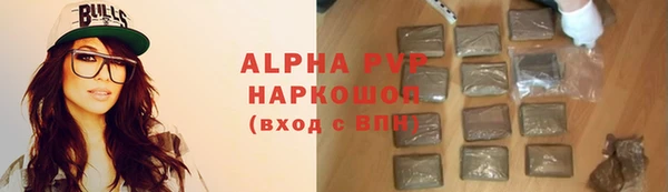 ПСИЛОЦИБИНОВЫЕ ГРИБЫ Гусев