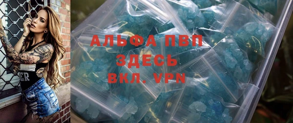 ПСИЛОЦИБИНОВЫЕ ГРИБЫ Гусев