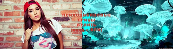 ПСИЛОЦИБИНОВЫЕ ГРИБЫ Гусев