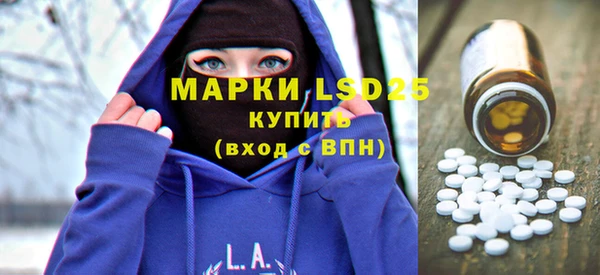 ПСИЛОЦИБИНОВЫЕ ГРИБЫ Гусев