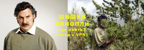 мяу мяу кристалл Гусь-Хрустальный